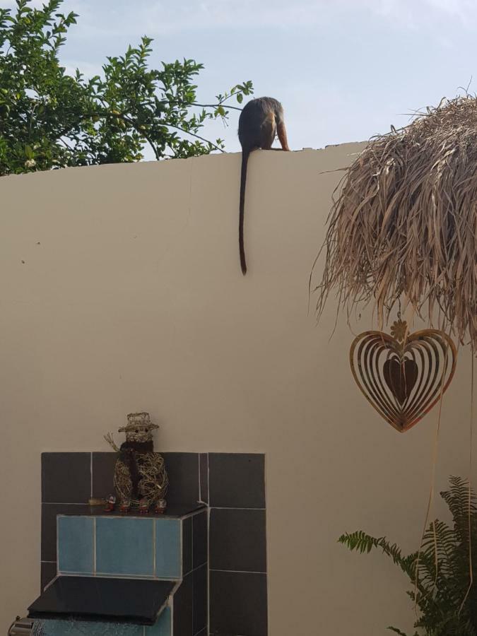 Mandinka Lodge Kololi Zewnętrze zdjęcie